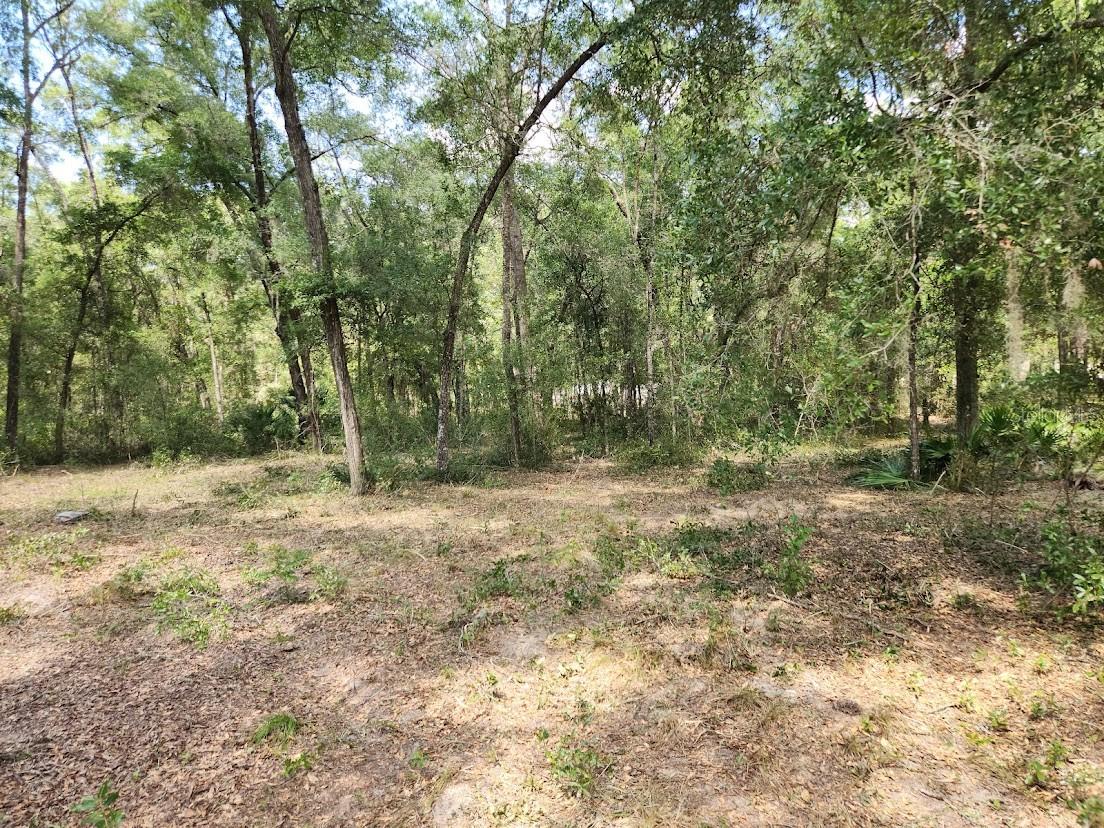Image 15 of 24 For Lot 3 61 St Place Road