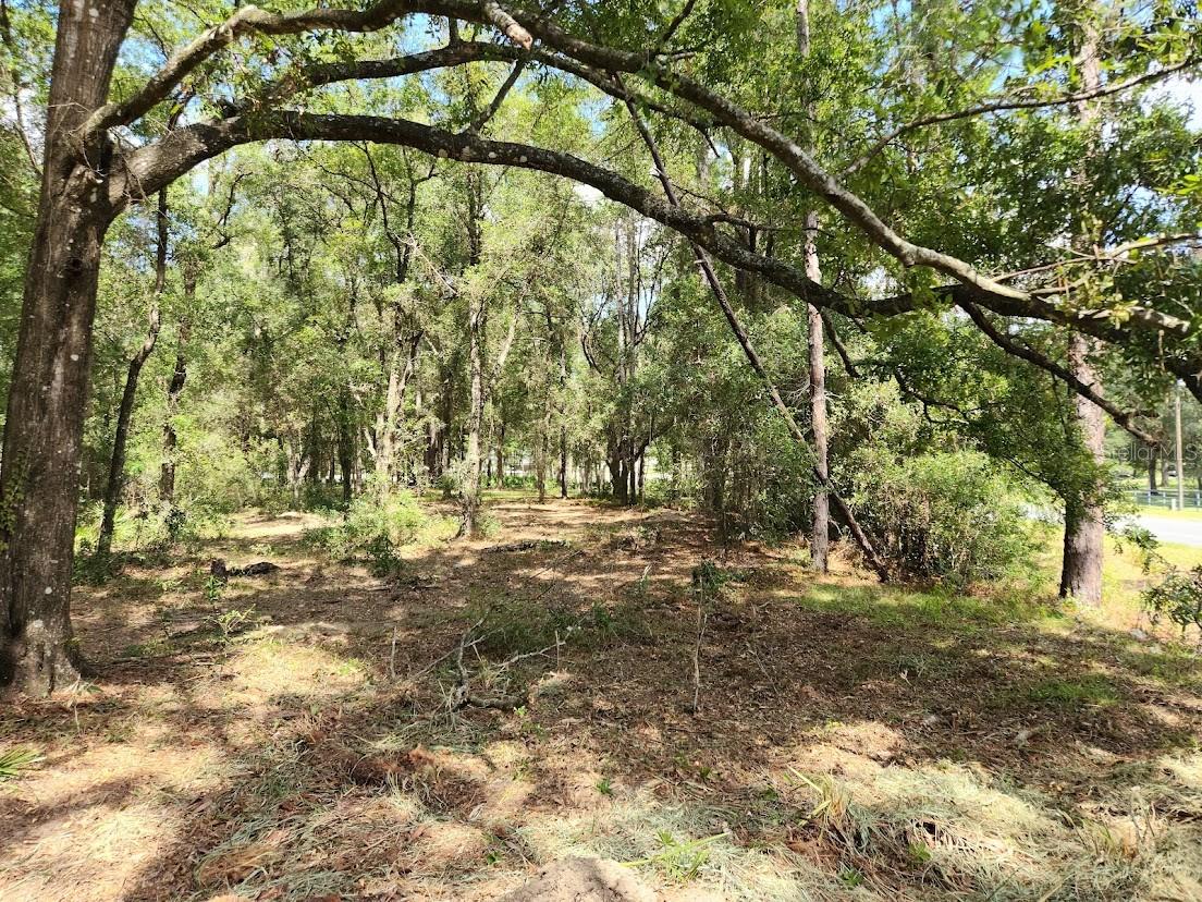 Image 16 of 24 For Lot 3 61 St Place Road