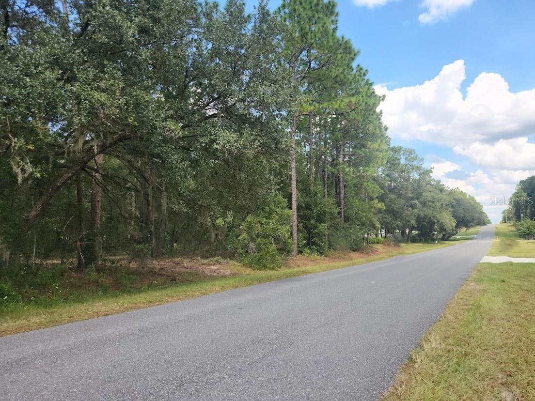 Image 17 of 24 For Lot 3 61 St Place Road