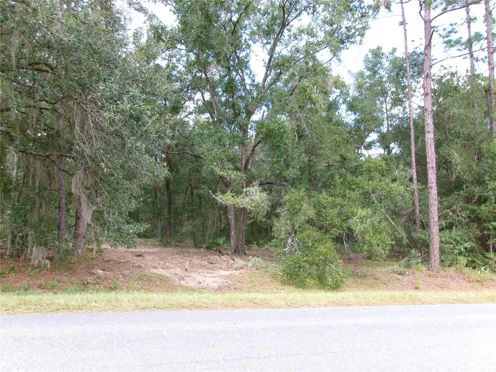 Image 18 of 24 For Lot 3 61 St Place Road