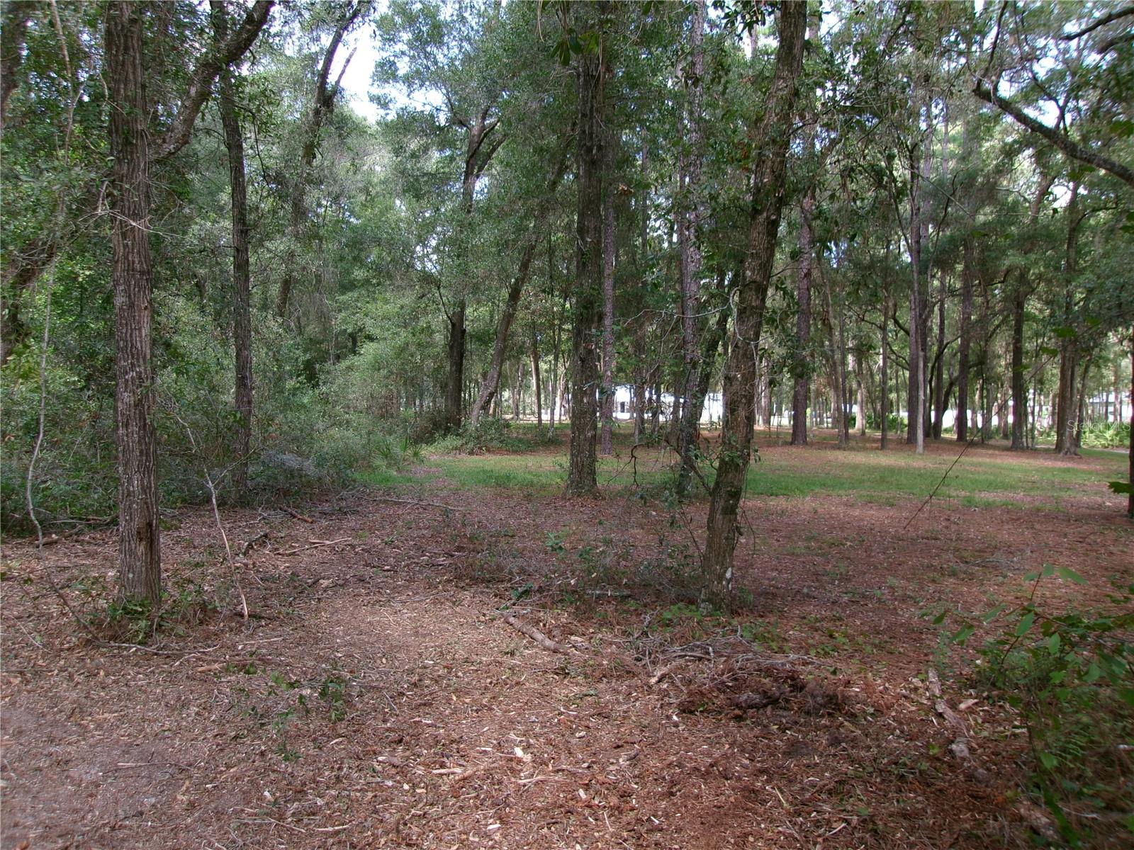Image 20 of 24 For Lot 3 61 St Place Road