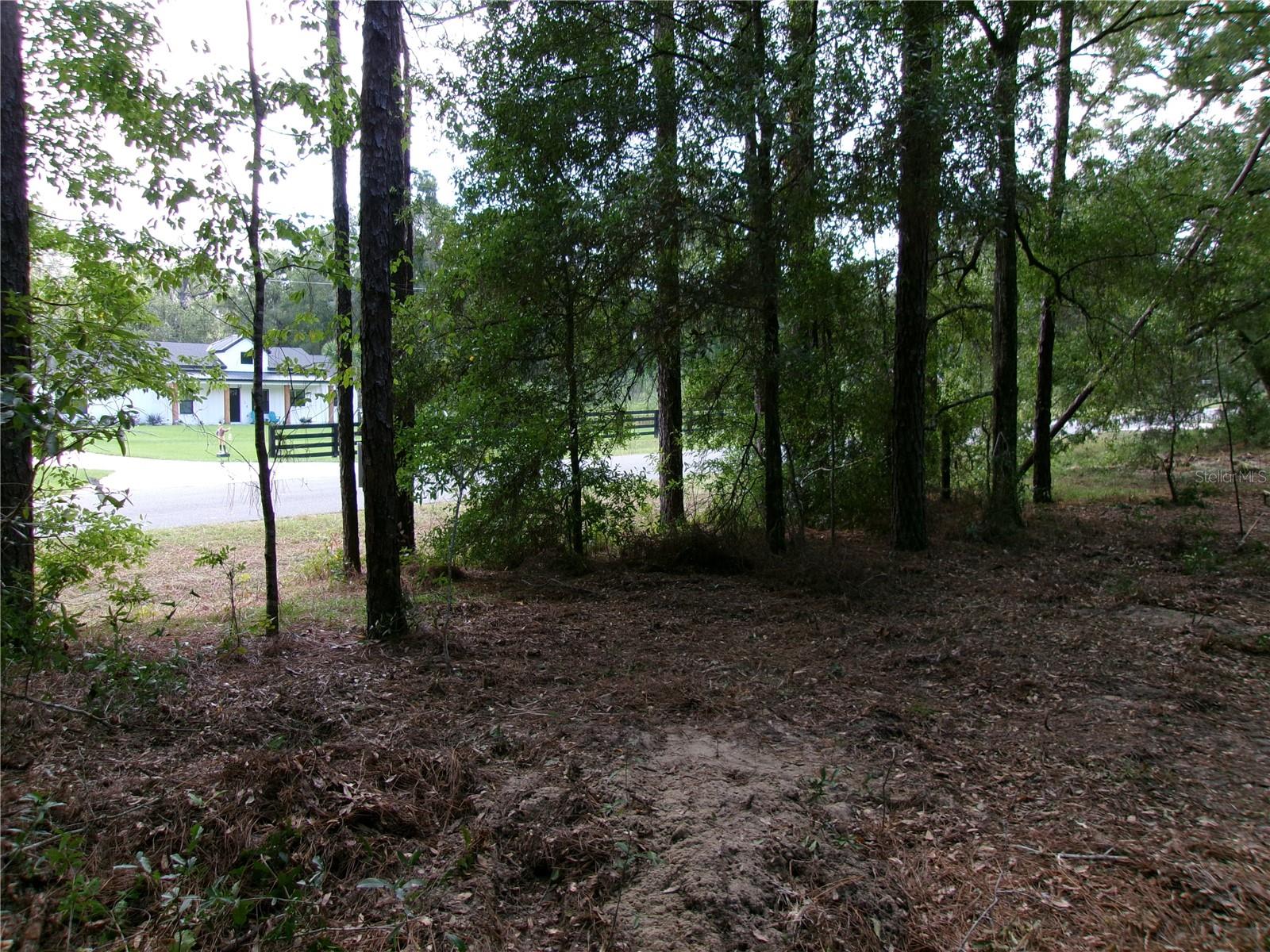 Image 21 of 24 For Lot 3 61 St Place Road