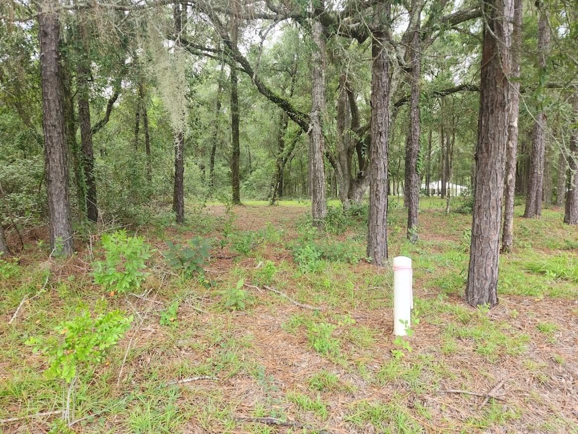 Image 4 of 24 For Lot 3 61 St Place Road