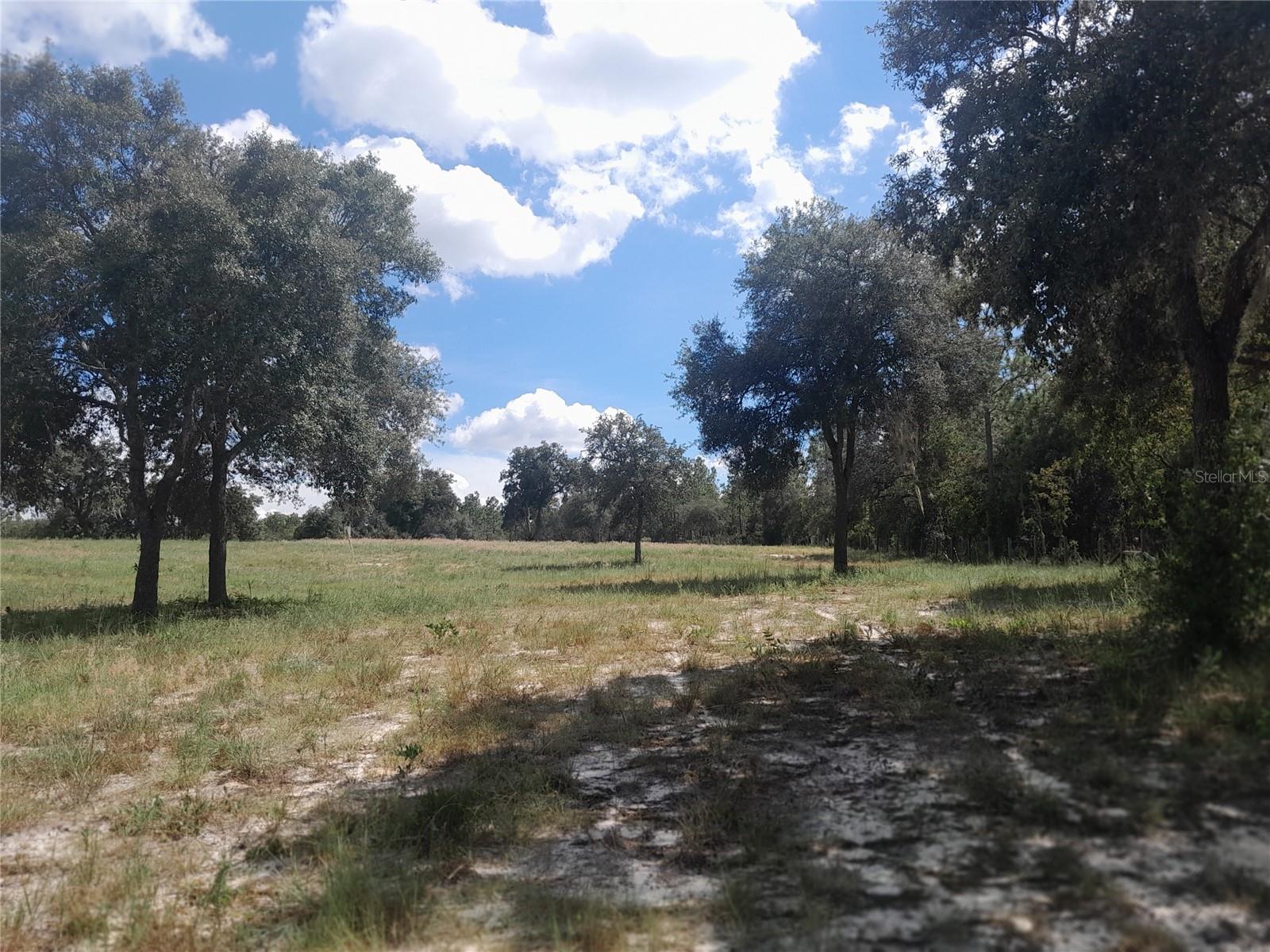 Image 35 of 52 For 3731 117th Terrace