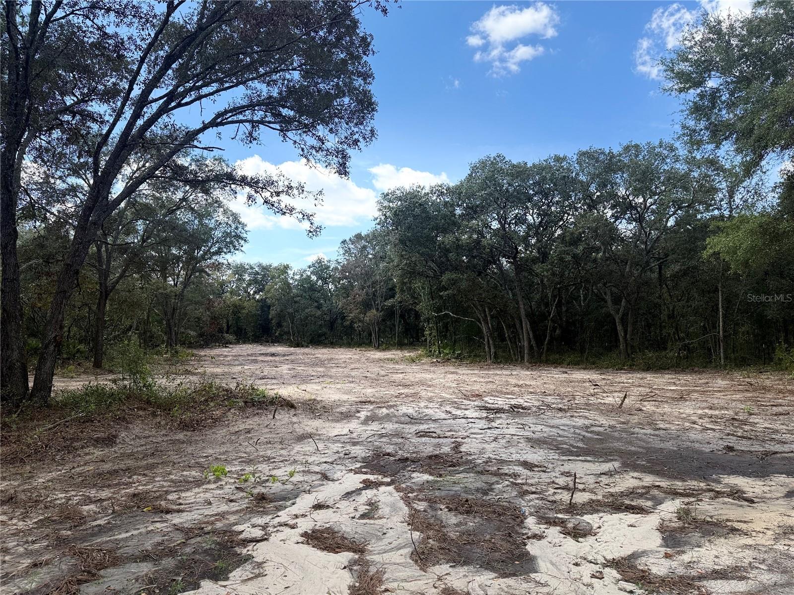 Details for Tbd 72nd Place, BRONSON, FL 32621