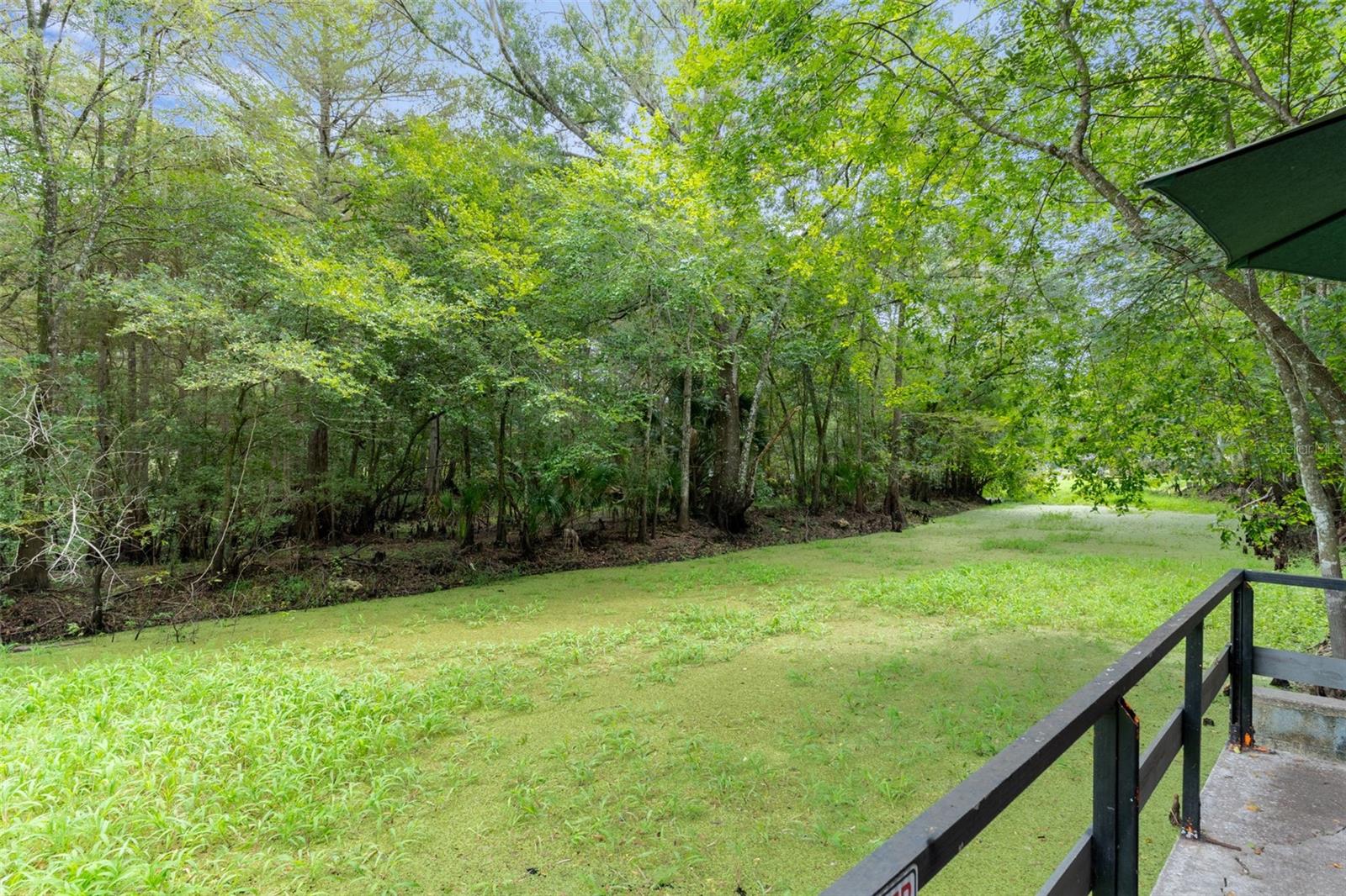 Listing photo id 43 for 353 Robin Hood Road