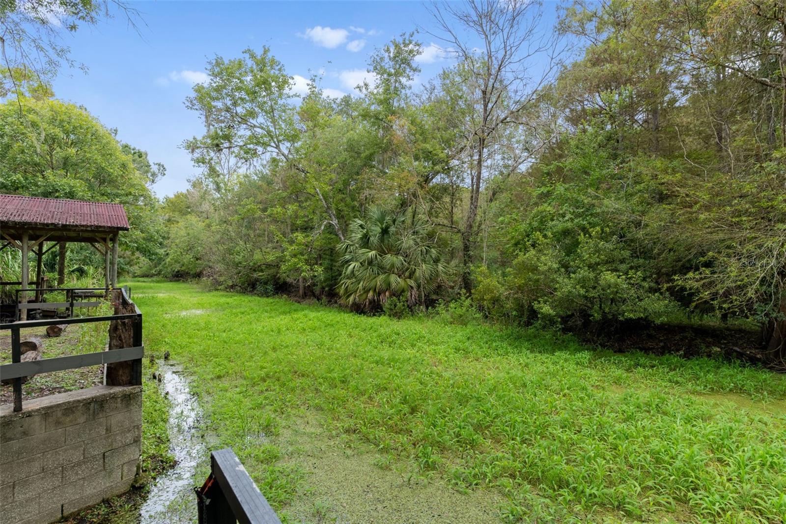 Listing photo id 45 for 353 Robin Hood Road