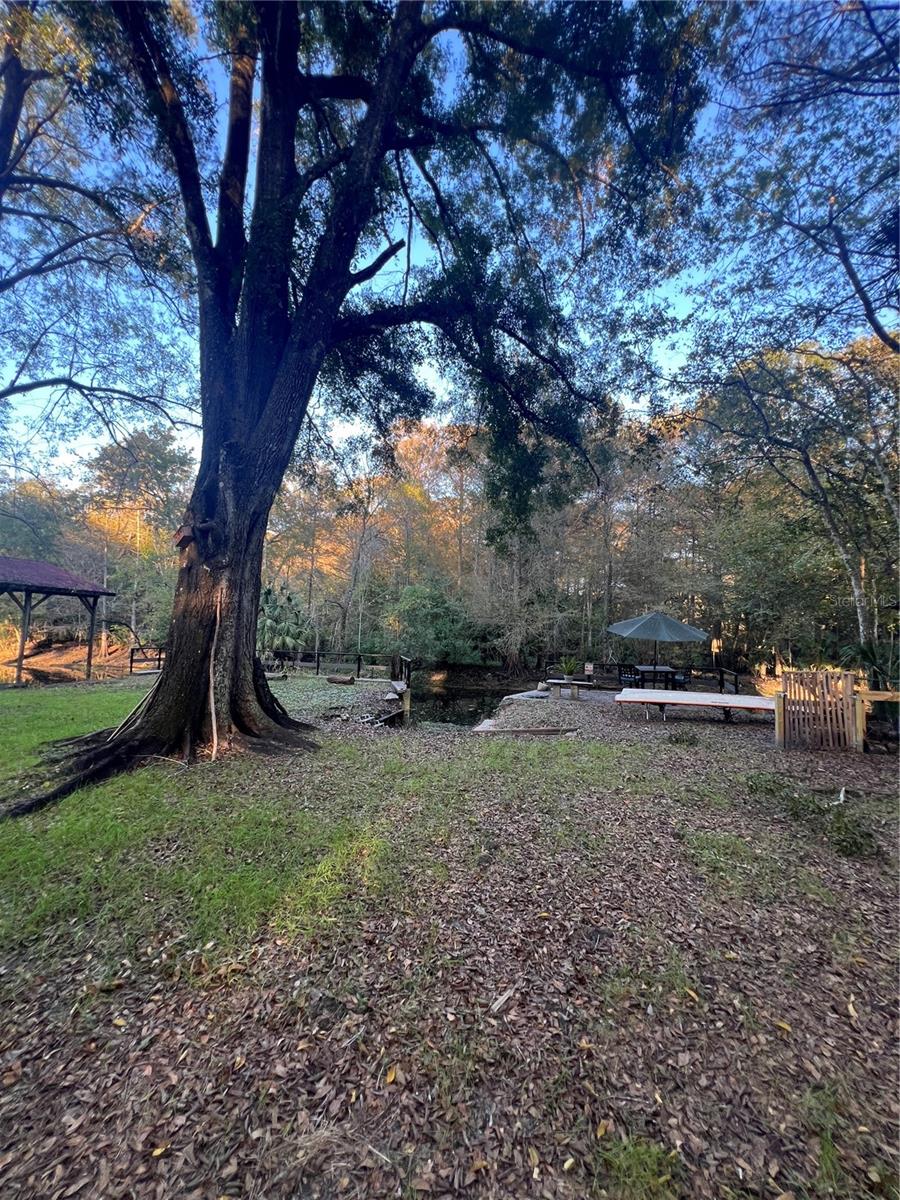 Listing photo id 55 for 353 Robin Hood Road