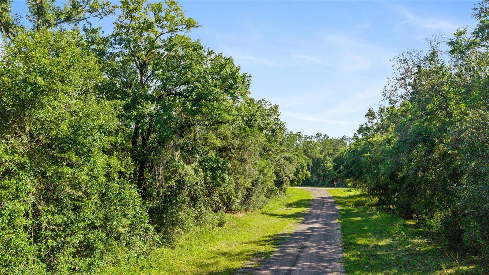 Listing photo id 2 for 11023 Glenda Terrace