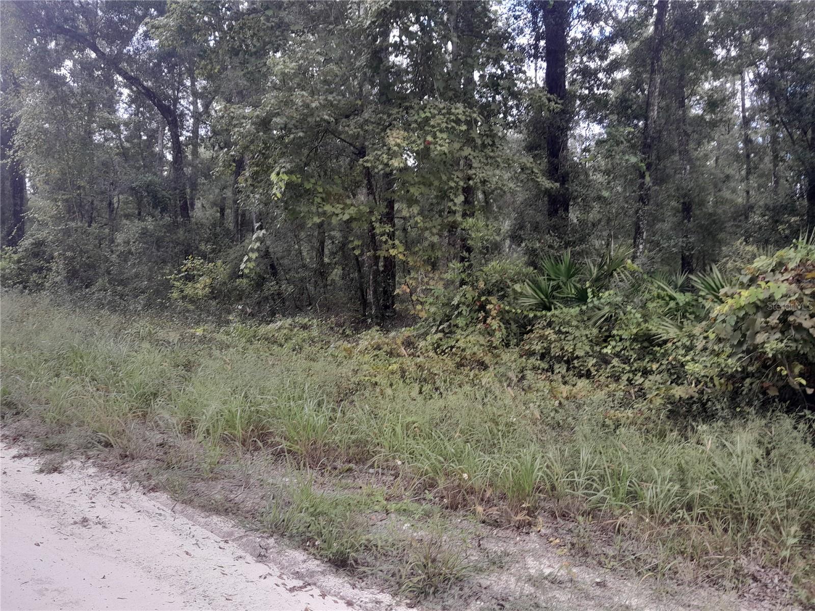 Details for Tbd 292nd Avenue, OLD TOWN, FL 32680