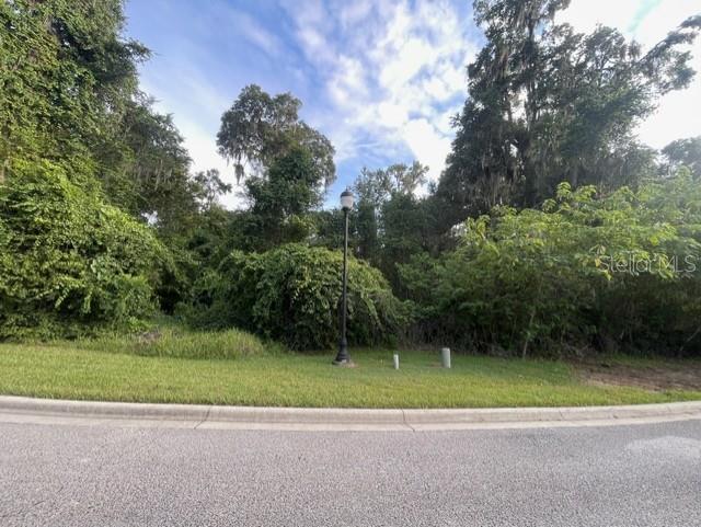 Image 4 of 15 For  31st Lane 