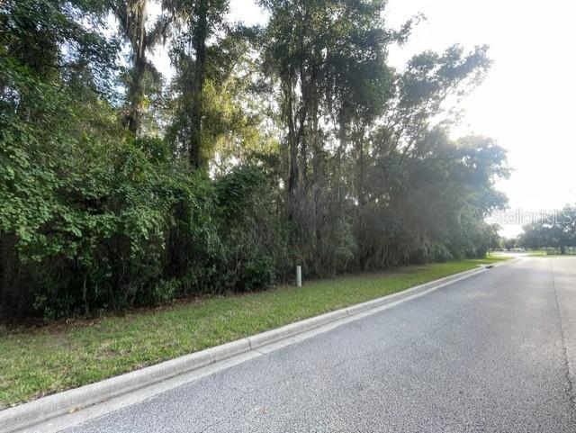 Image 7 of 18 For  31st Lane 
