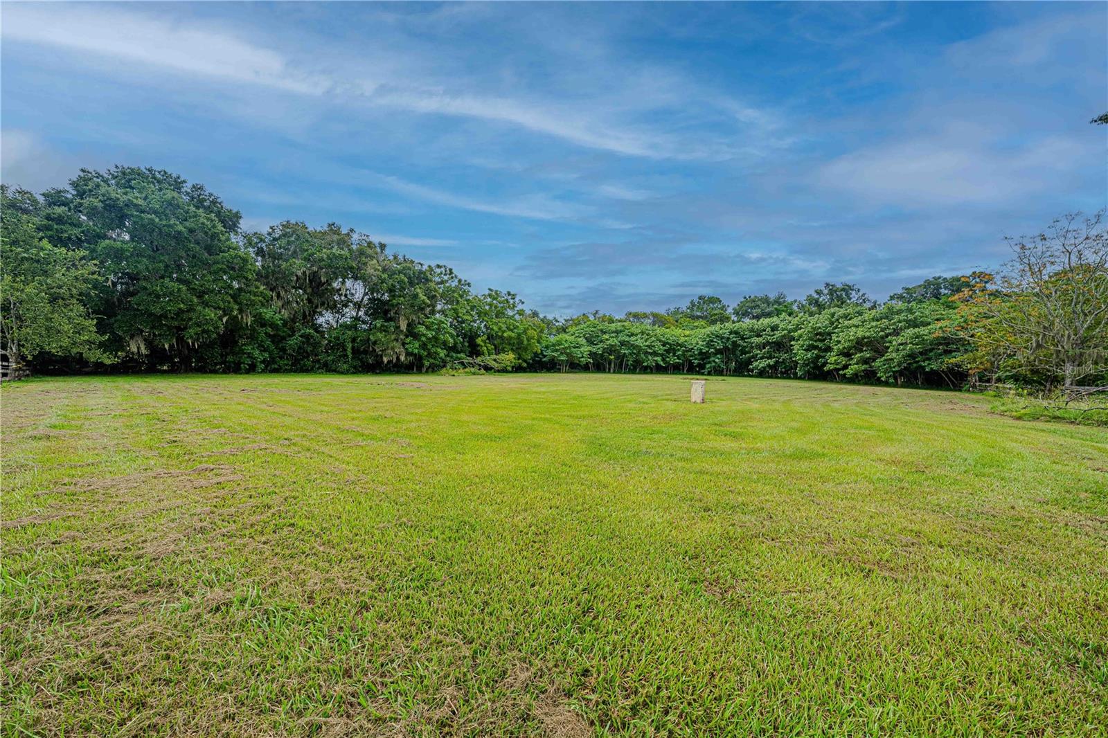 Image 55 of 93 For 12615 Gainesville Road