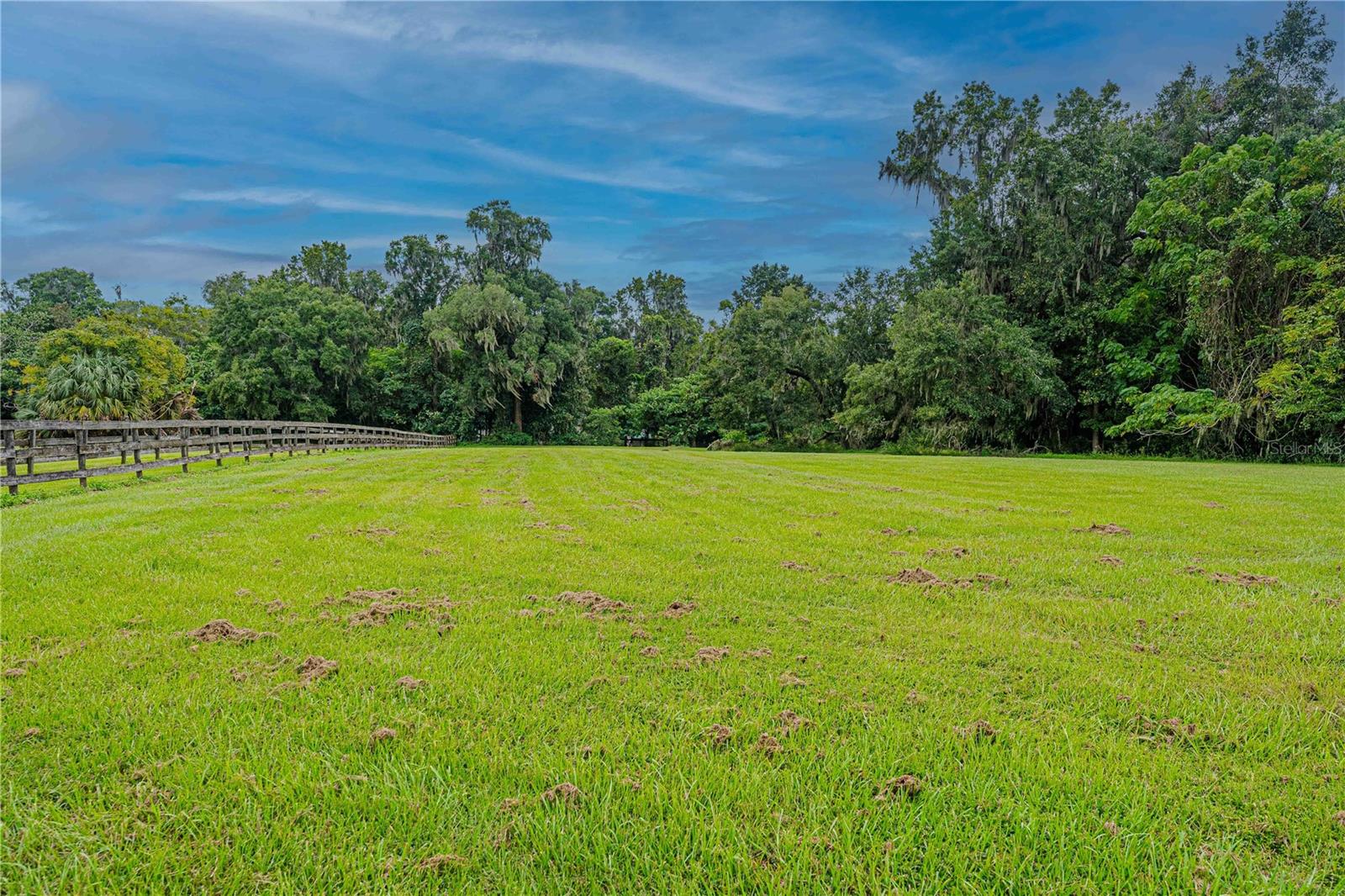 Image 66 of 93 For 12615 Gainesville Road