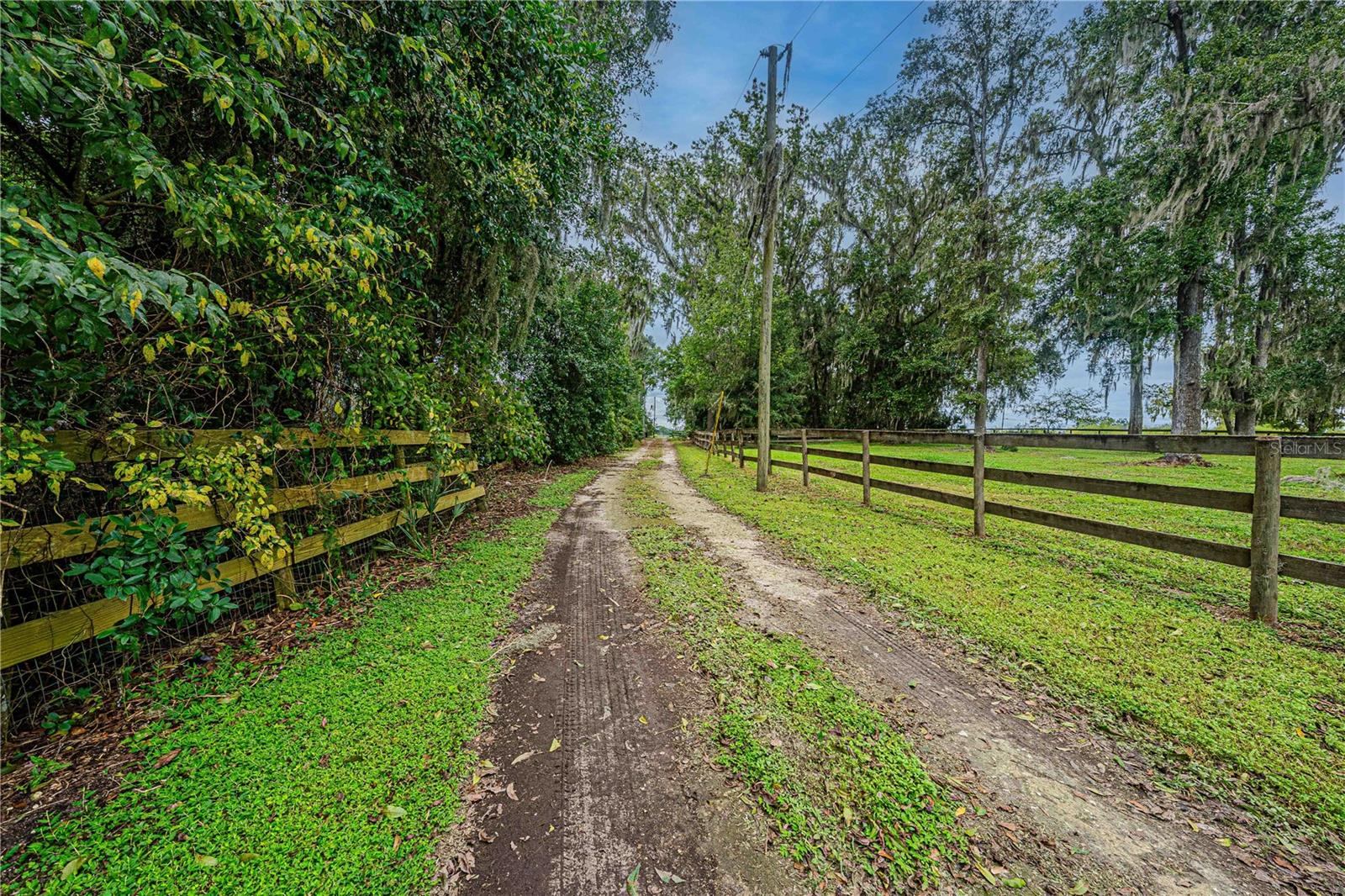 Image 70 of 93 For 12615 Gainesville Road