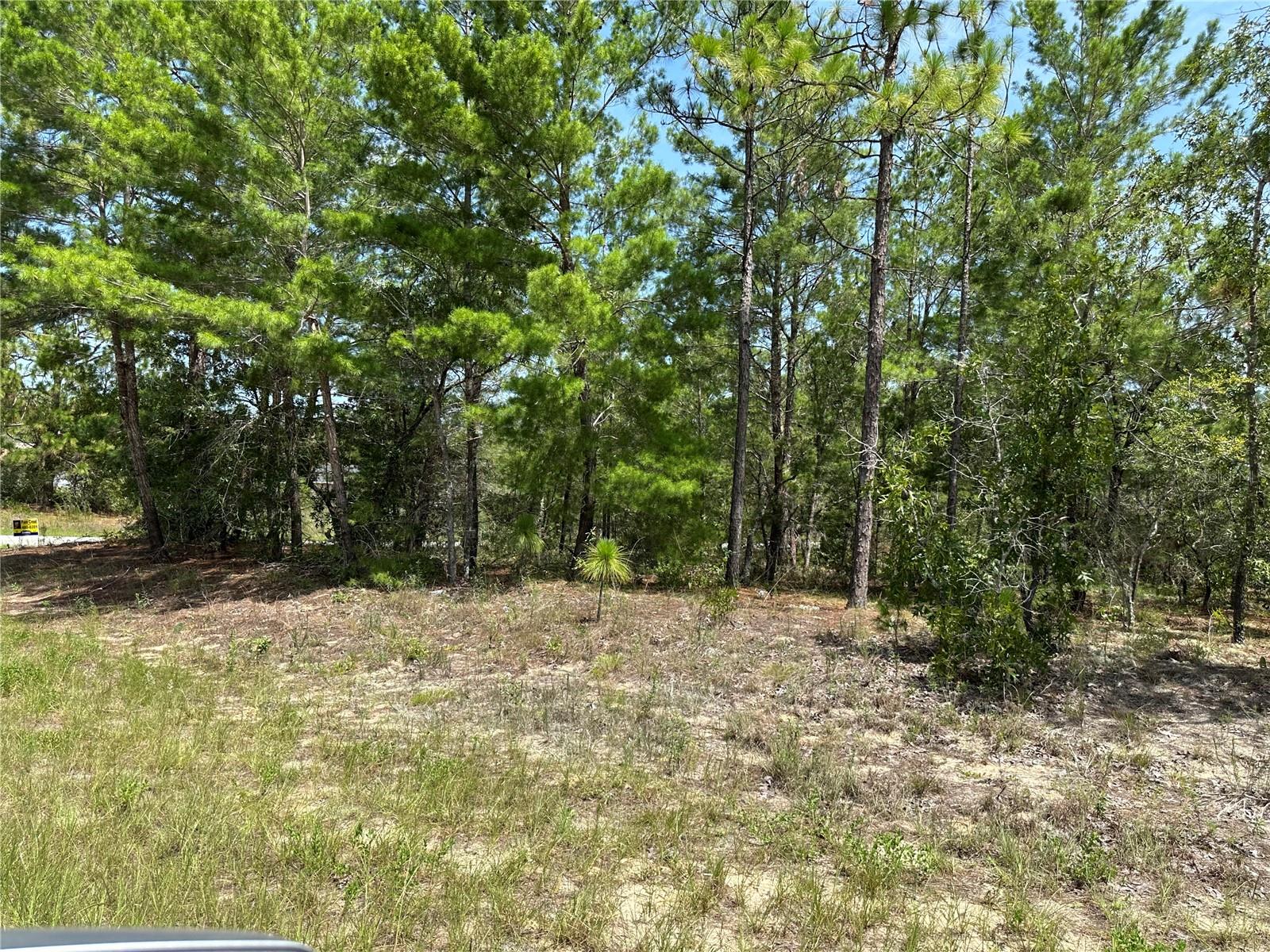 Listing Details for 8338 Hardstone Drive, WEBSTER, FL 33597