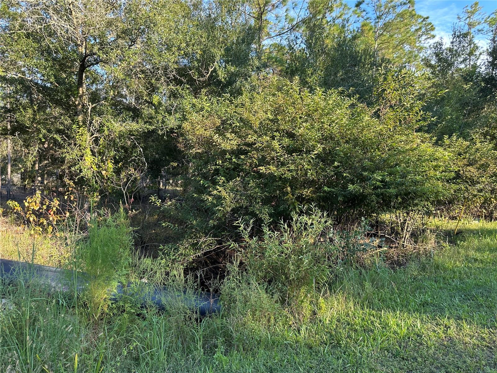 Image 13 of 13 For 8338 Hardstone Drive