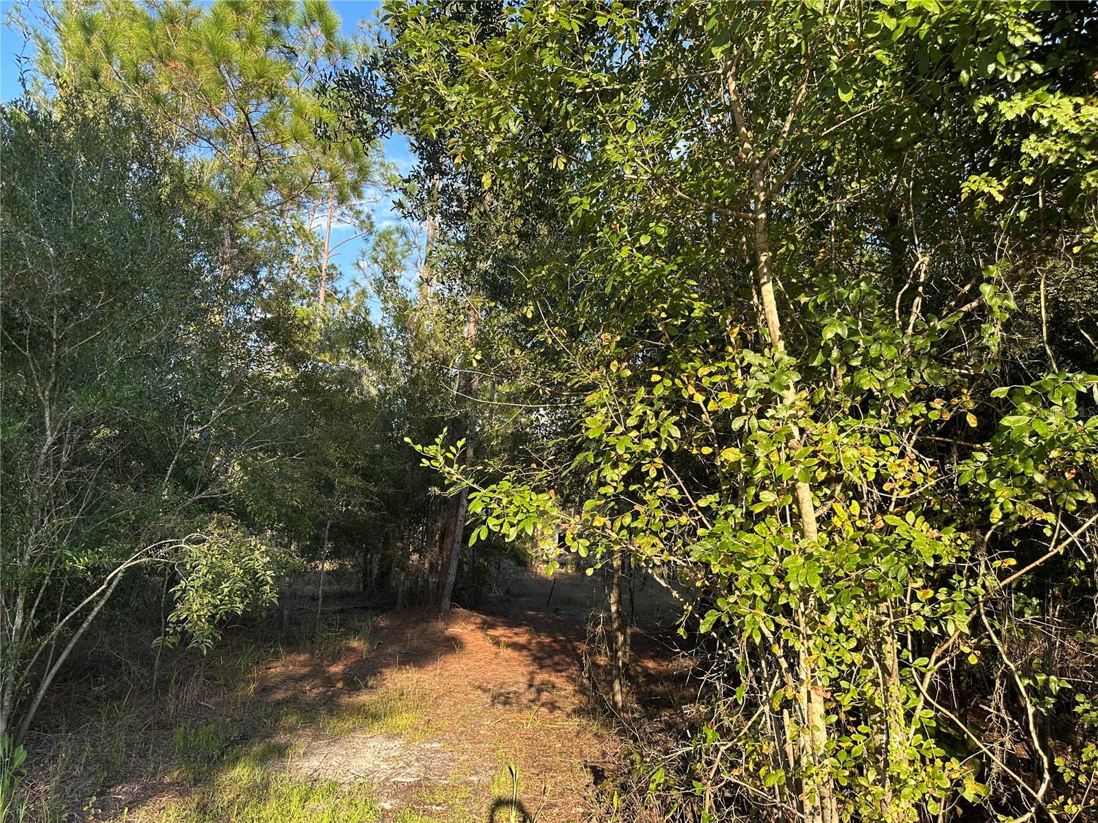 Image 3 of 13 For 8338 Hardstone Drive