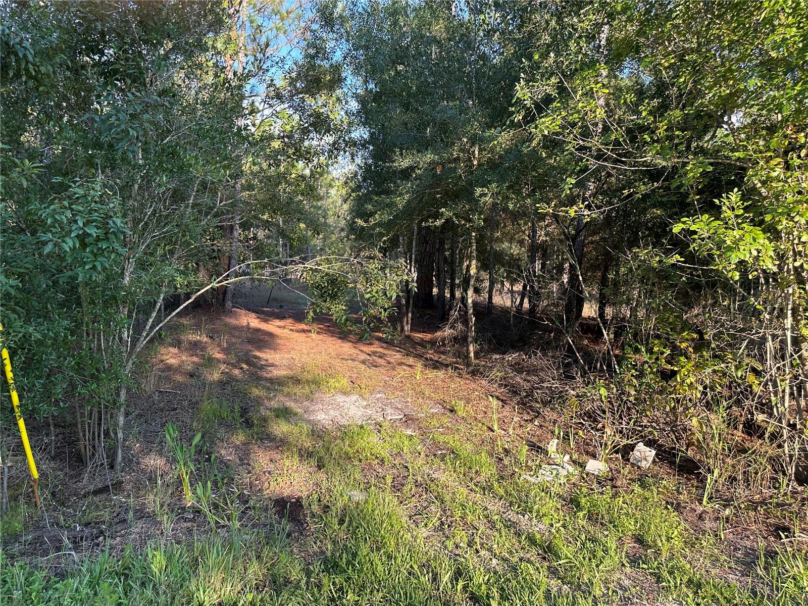 Image 5 of 13 For 8338 Hardstone Drive
