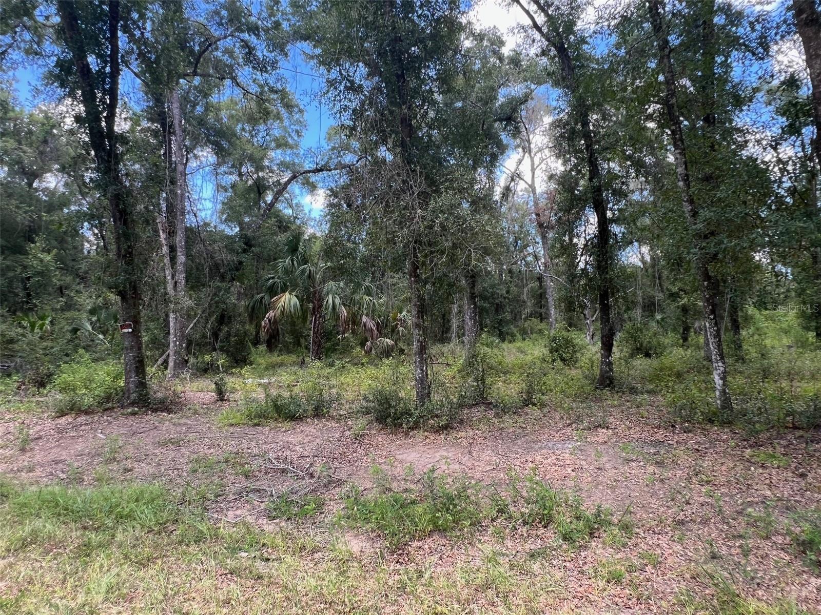 Image 2 of 10 For 1628 Derby Drive