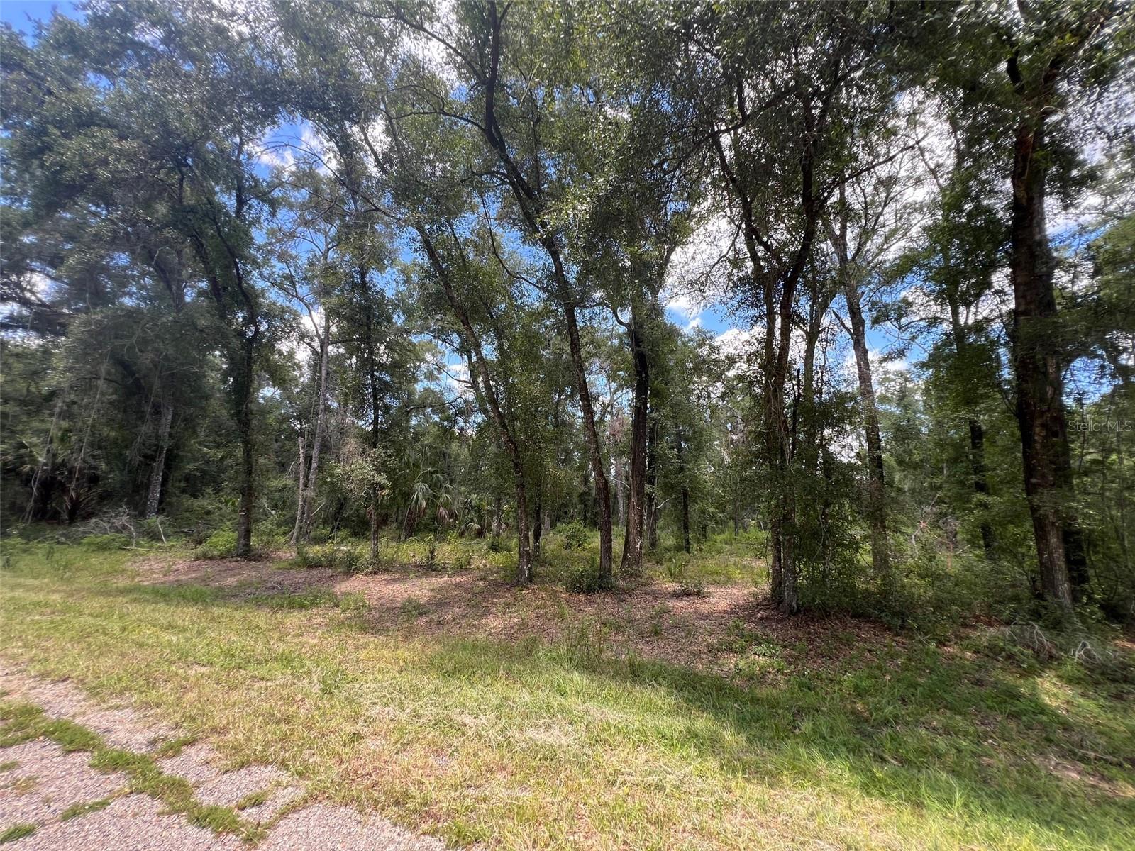 Image 4 of 10 For 1628 Derby Drive