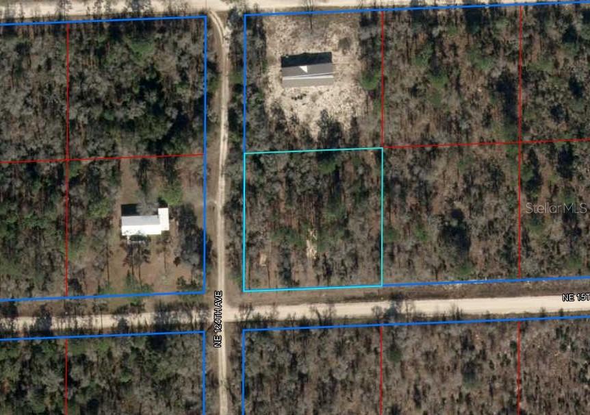 Details for Lot 6 124th Street, WILLISTON, FL 32696