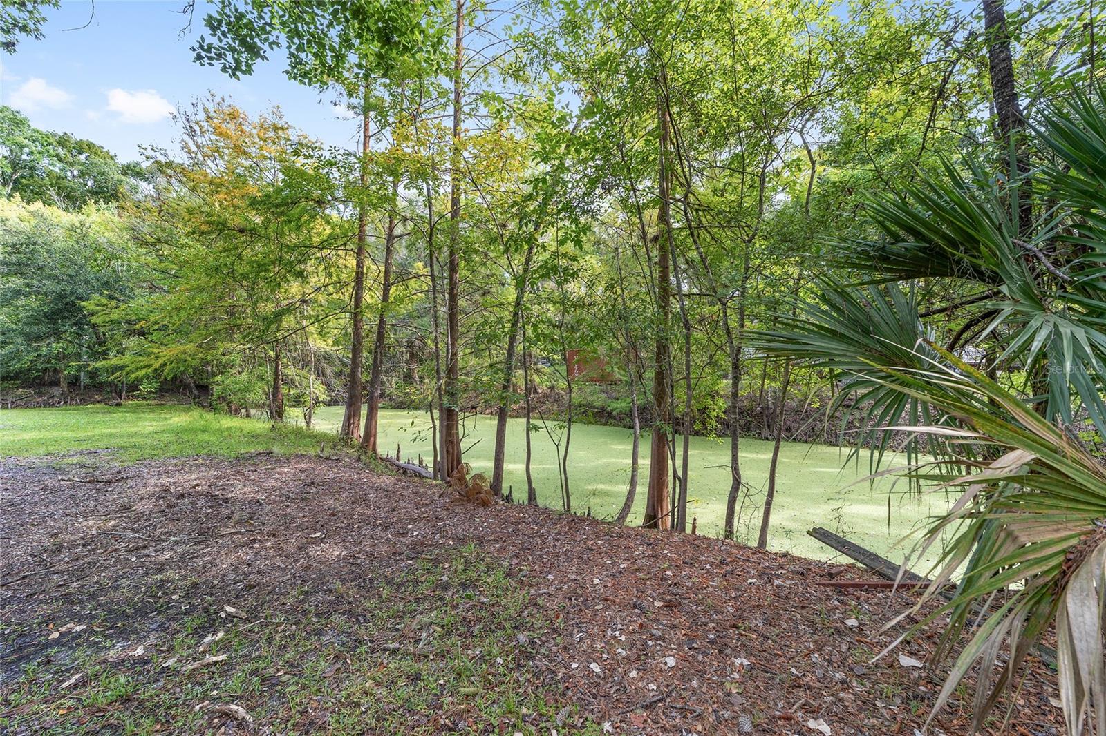 Listing photo id 0 for 5891 Cane Court
