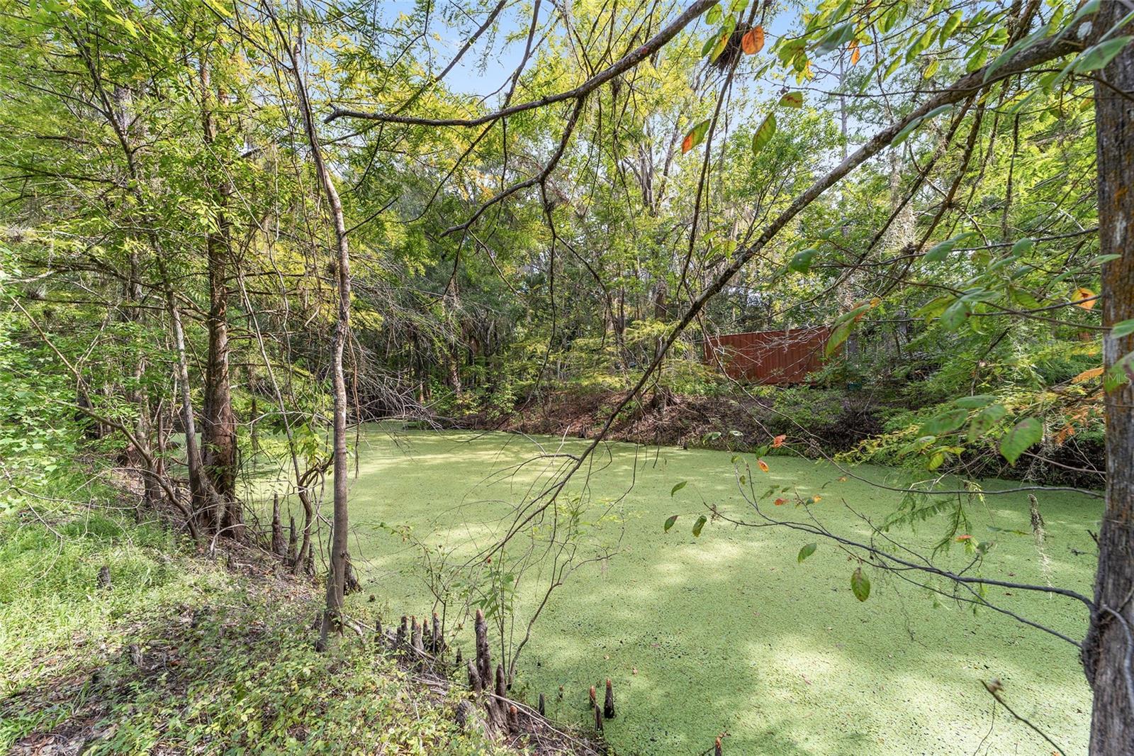 Listing photo id 31 for 5891 Cane Court