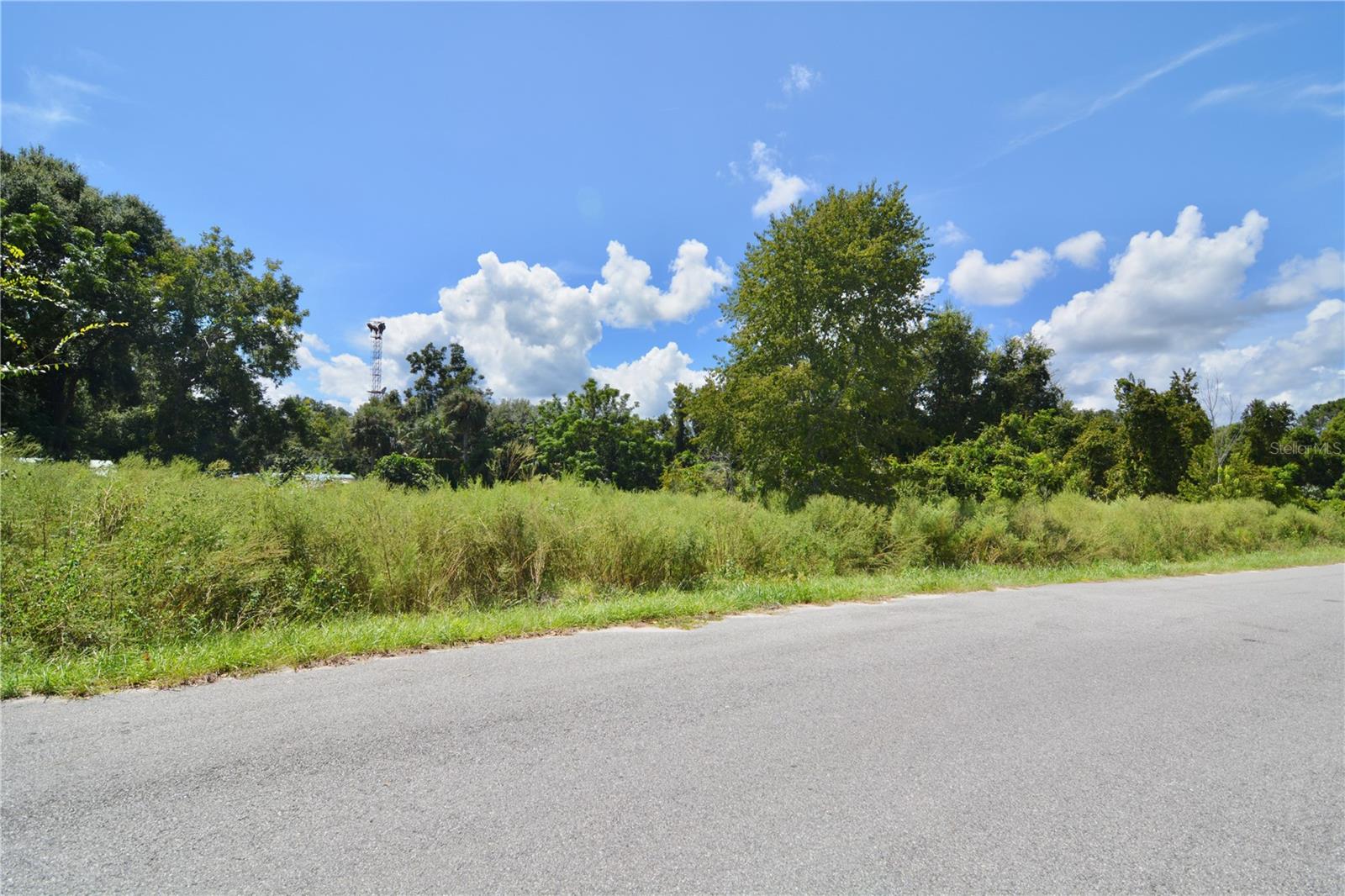 Image 12 of 29 For 12 Lots Pine Forest Circle