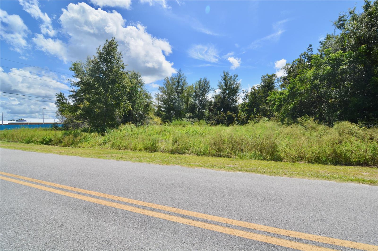 Image 13 of 29 For 12 Lots Pine Forest Circle