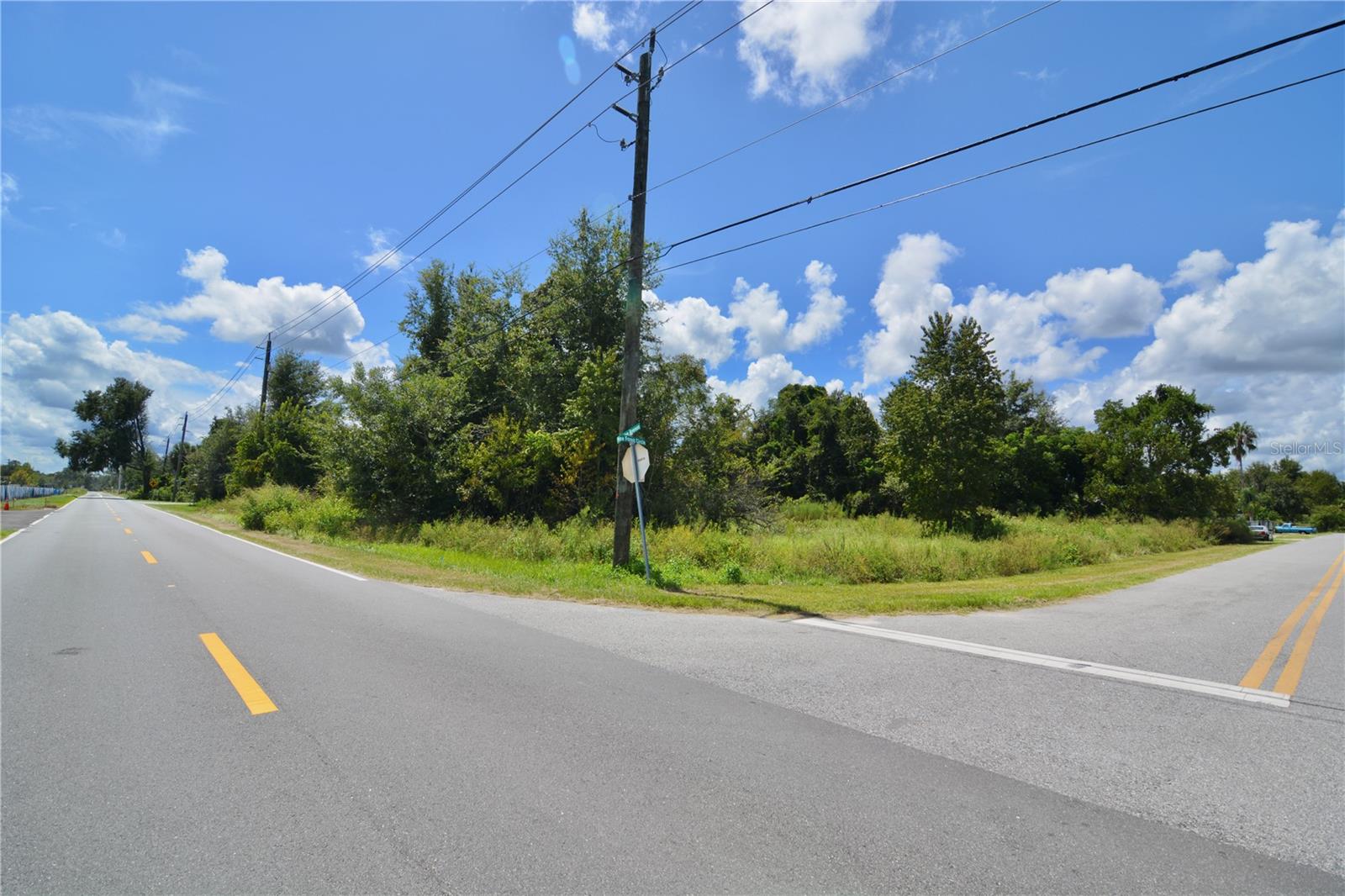 Image 14 of 29 For 12 Lots Pine Forest Circle