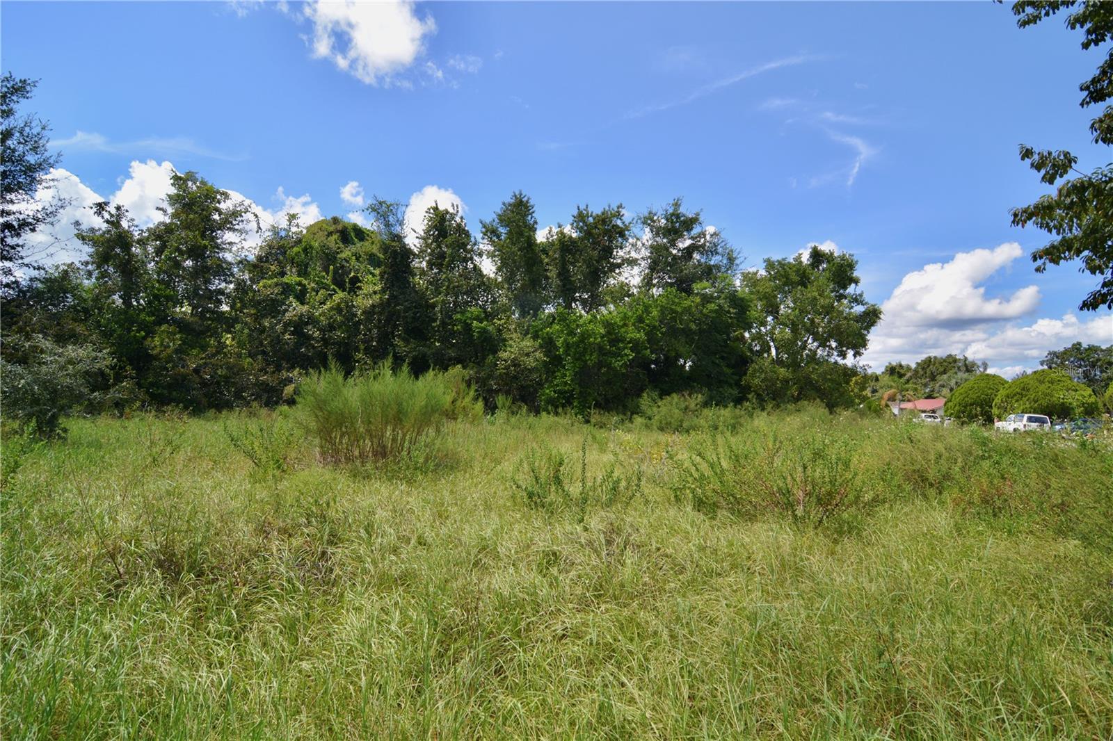 Image 15 of 29 For 12 Lots Pine Forest Circle