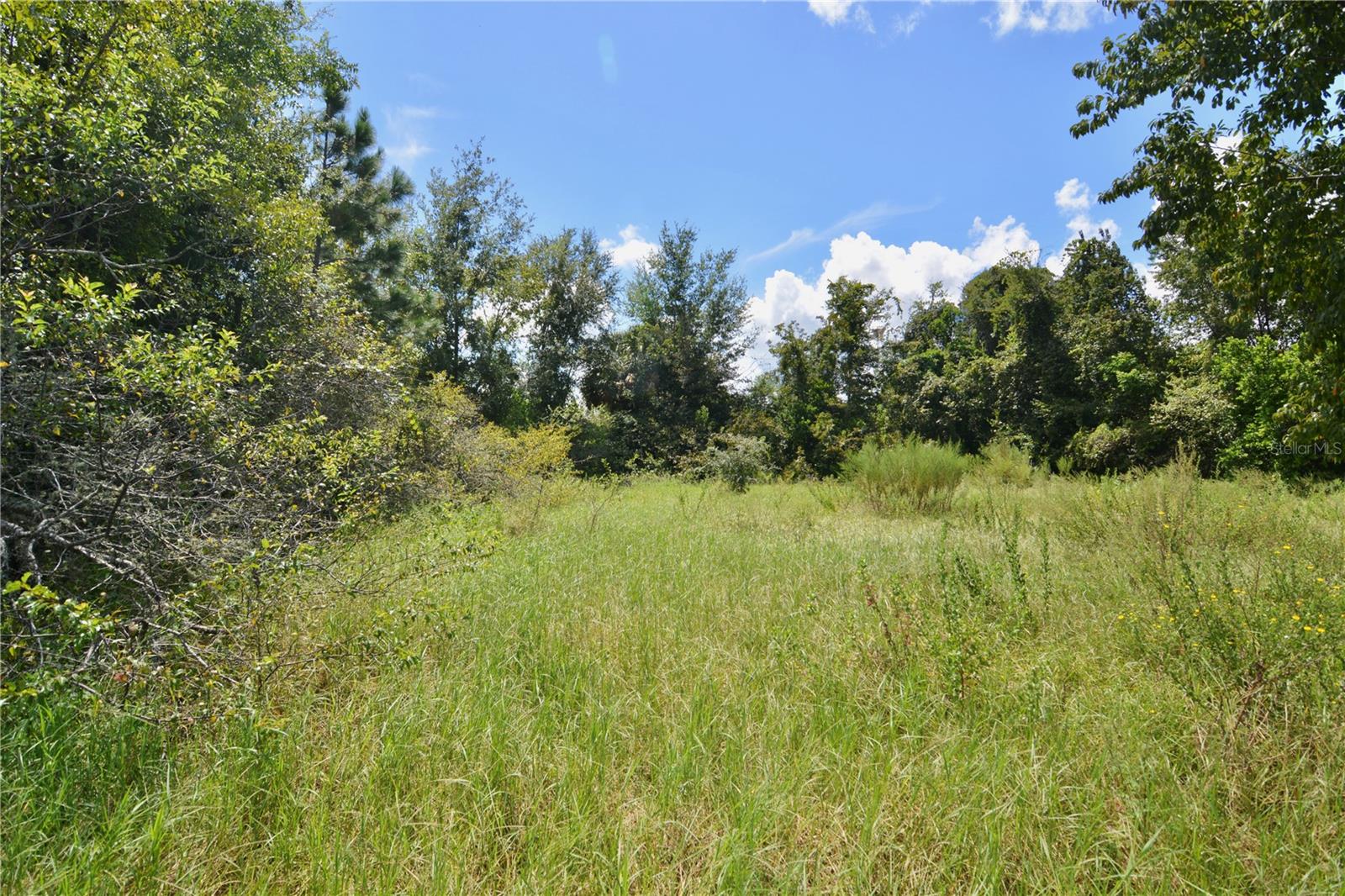Image 16 of 29 For 12 Lots Pine Forest Circle