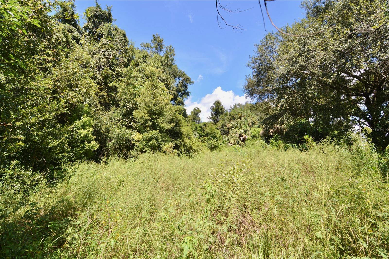 Image 17 of 29 For 12 Lots Pine Forest Circle