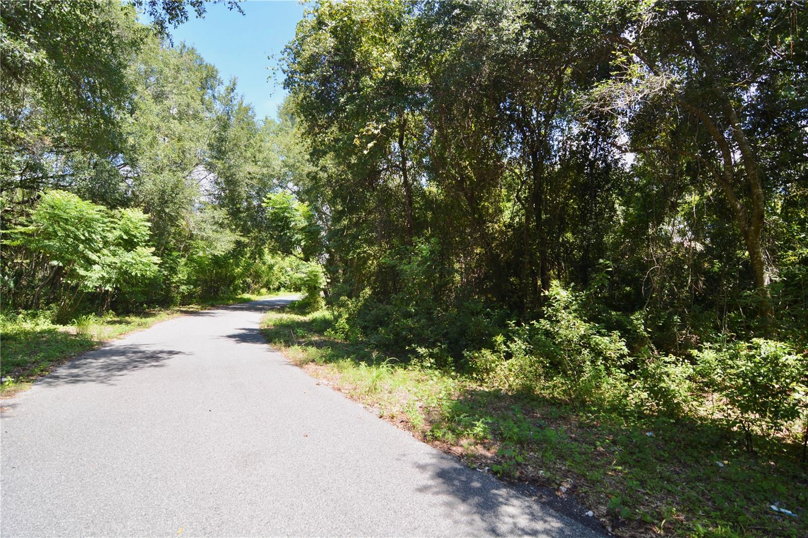 Image 19 of 29 For 12 Lots Pine Forest Circle