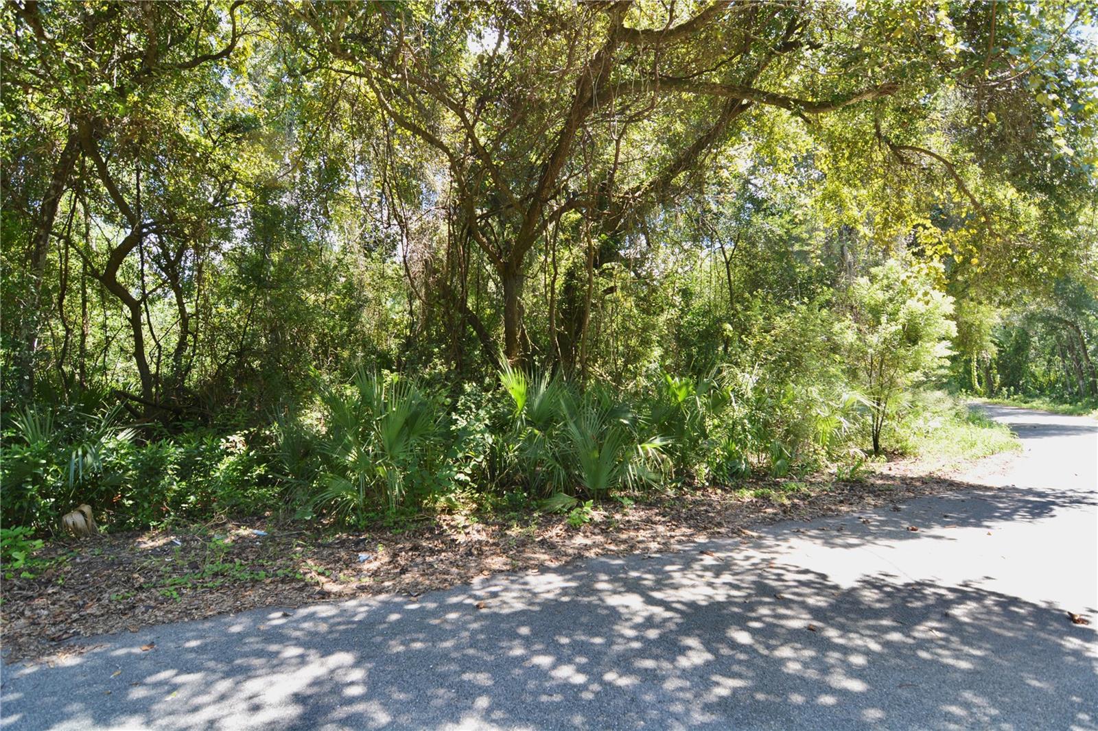 Image 20 of 29 For 12 Lots Pine Forest Circle
