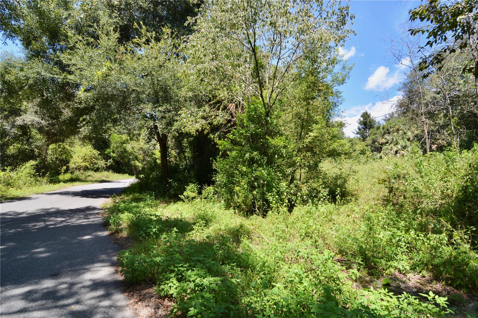 Image 21 of 29 For 12 Lots Pine Forest Circle