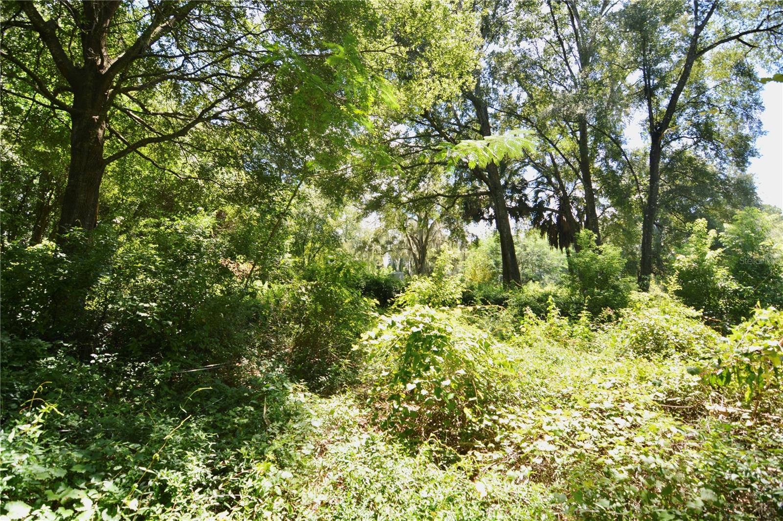 Image 23 of 29 For 12 Lots Pine Forest Circle