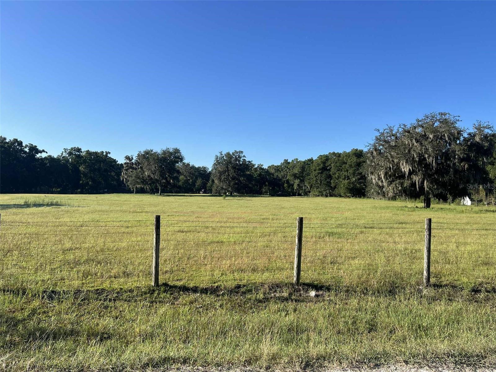 Listing Details for 0 132nd Place, ANTHONY, FL 32617