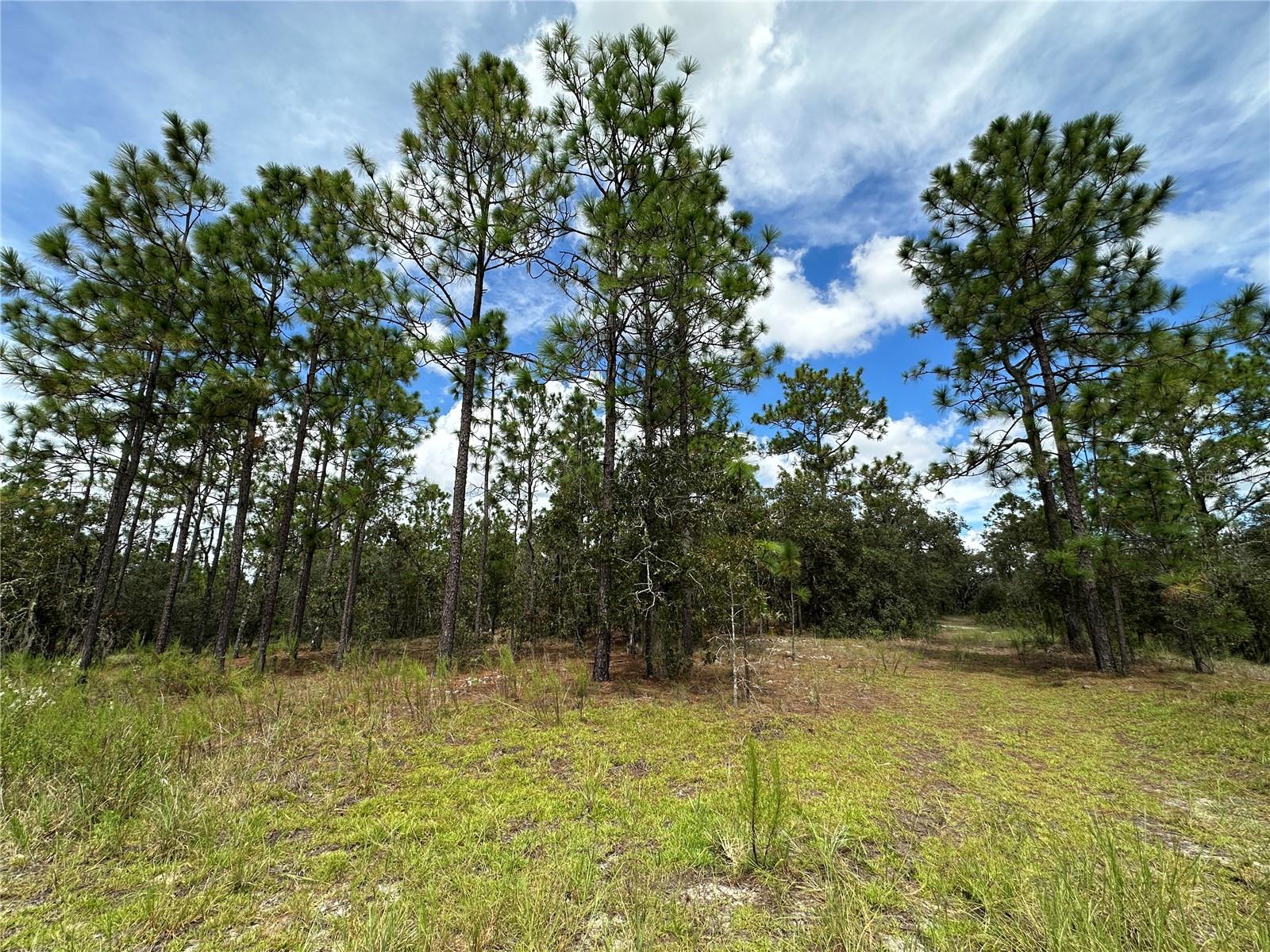 Details for Tbd 105th Lane, DUNNELLON, FL 34431