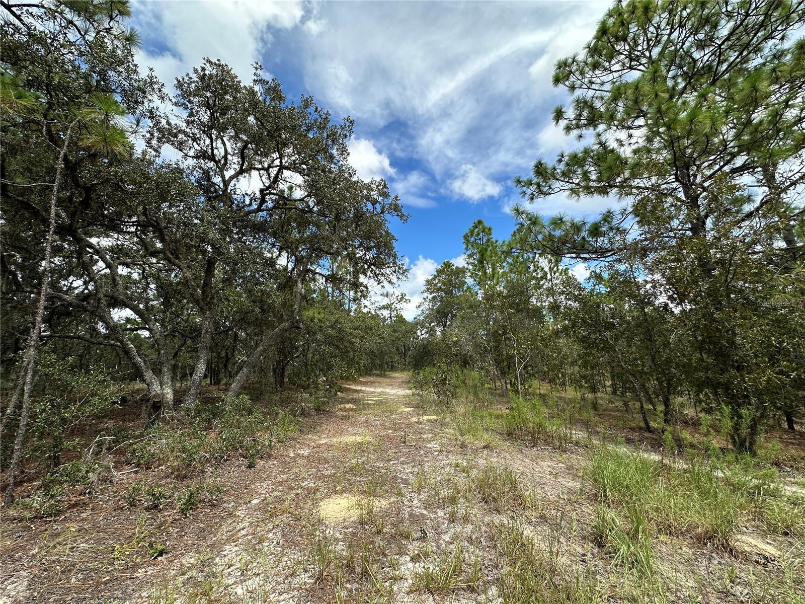 Image 4 of 8 For Tbd 105th Lane