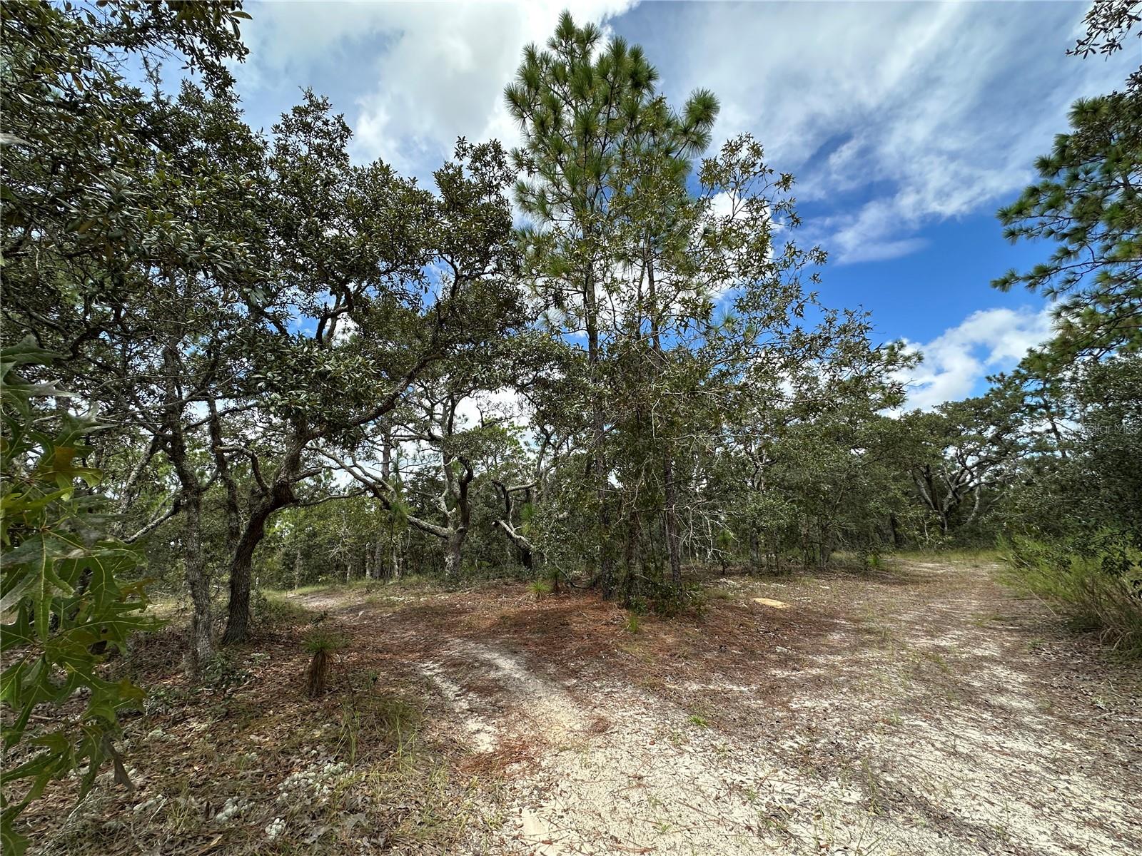 Image 5 of 8 For Tbd 105th Lane