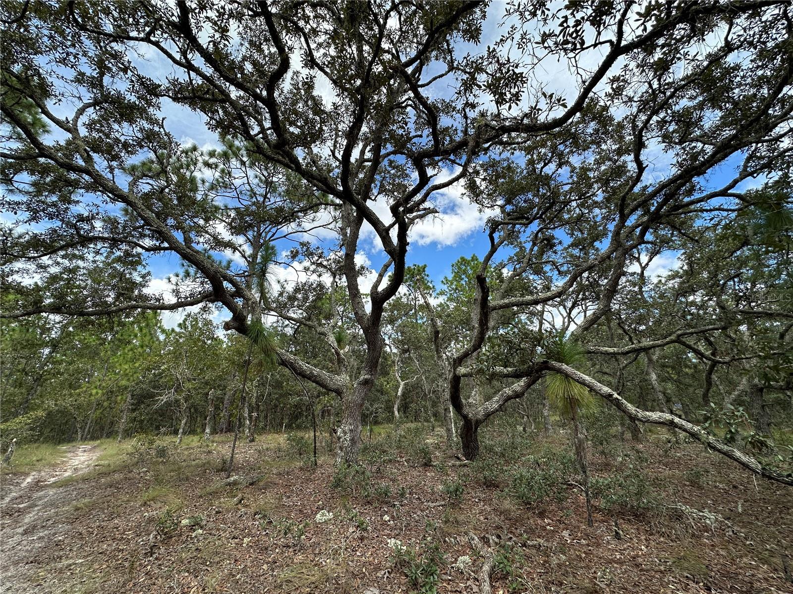 Image 6 of 8 For Tbd 105th Lane