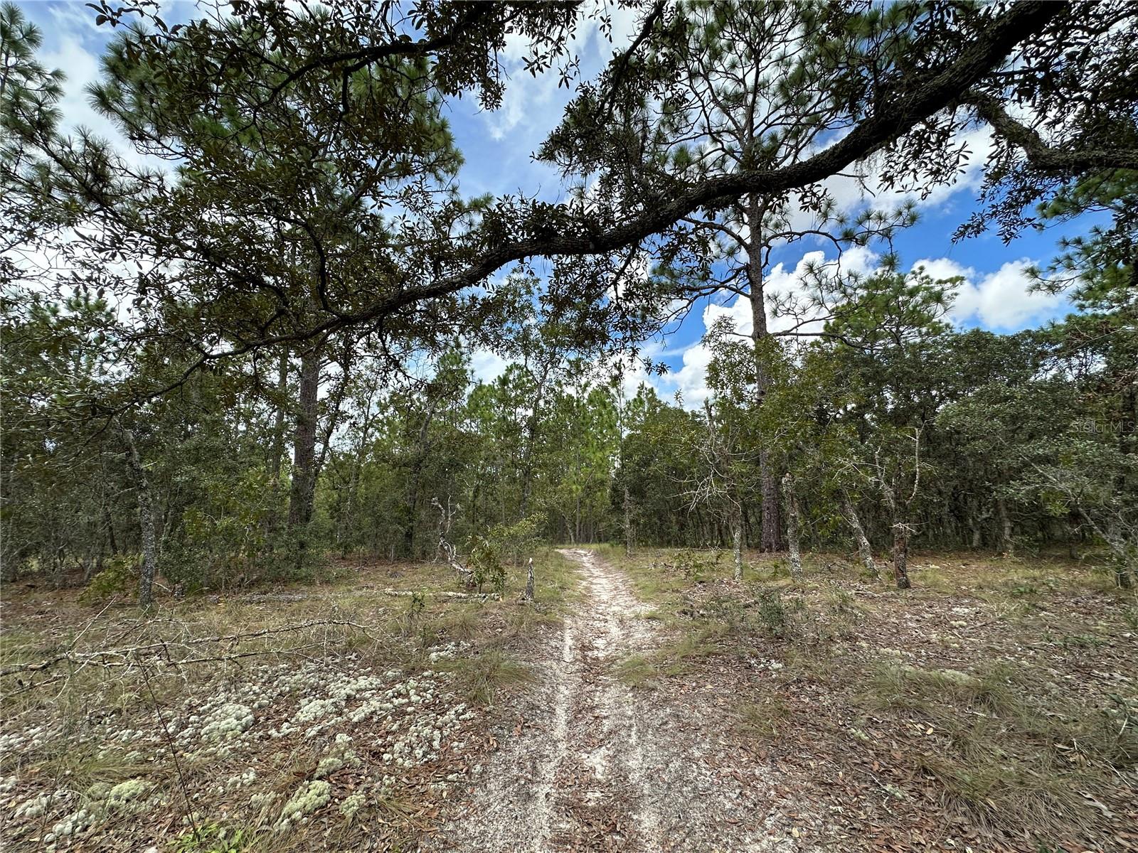 Image 7 of 8 For Tbd 105th Lane