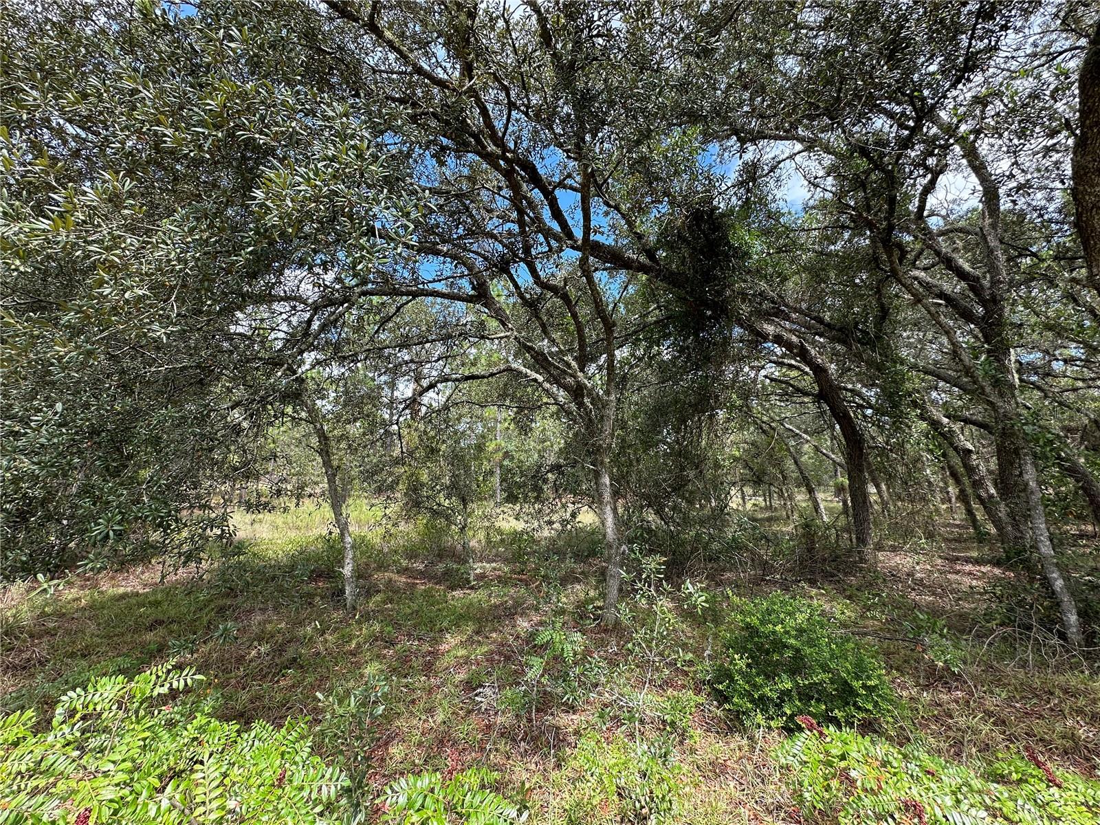 Image 2 of 7 For Address Not Provided