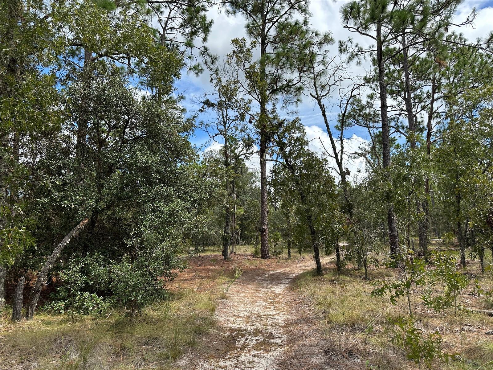 Image 5 of 7 For Address Not Provided