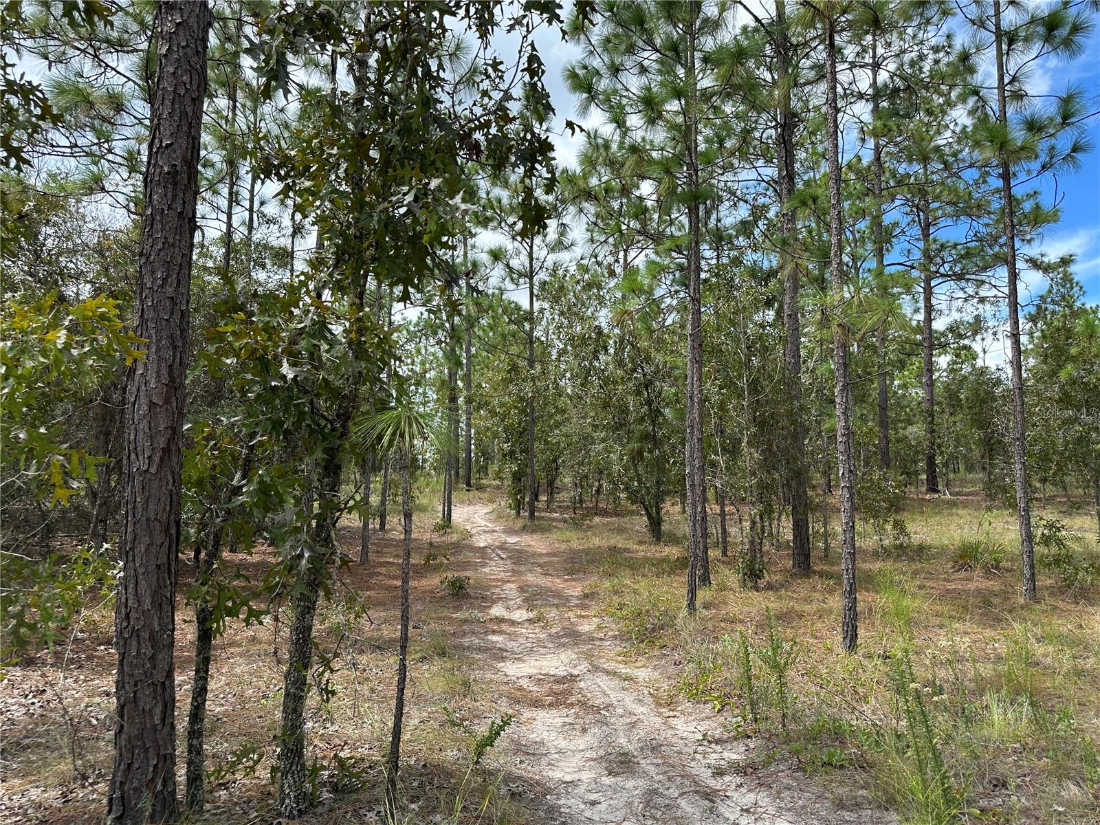 Image 6 of 7 For Address Not Provided