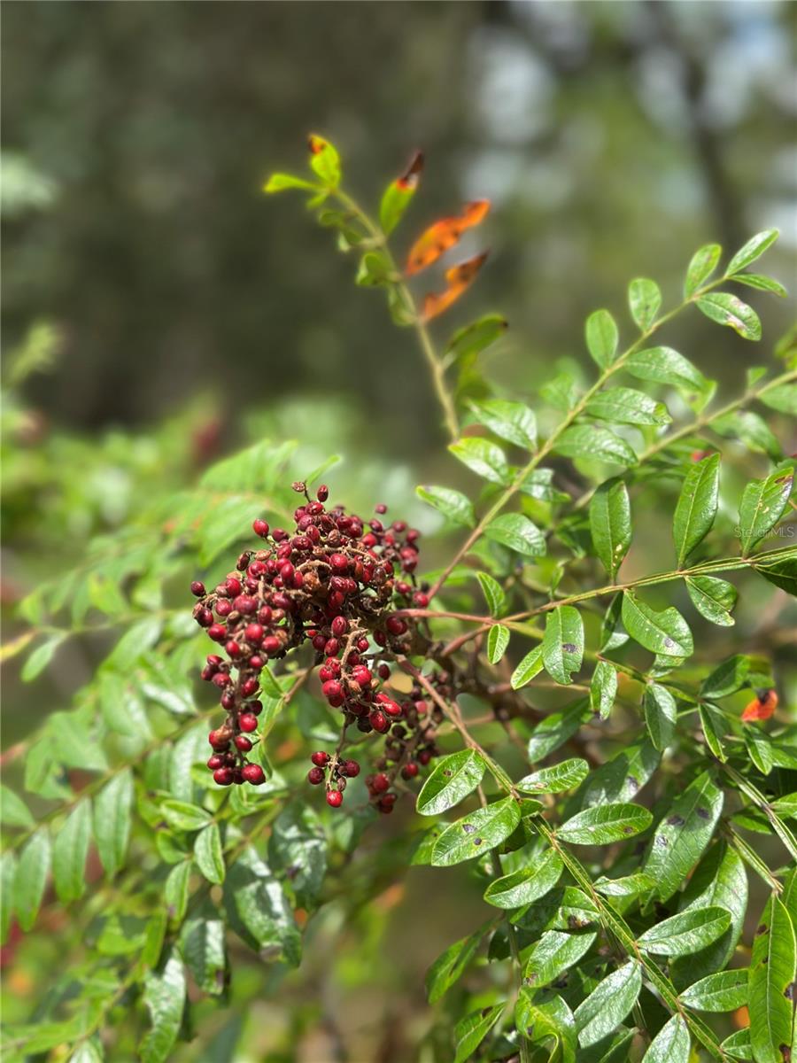 Image 7 of 7 For Address Not Provided