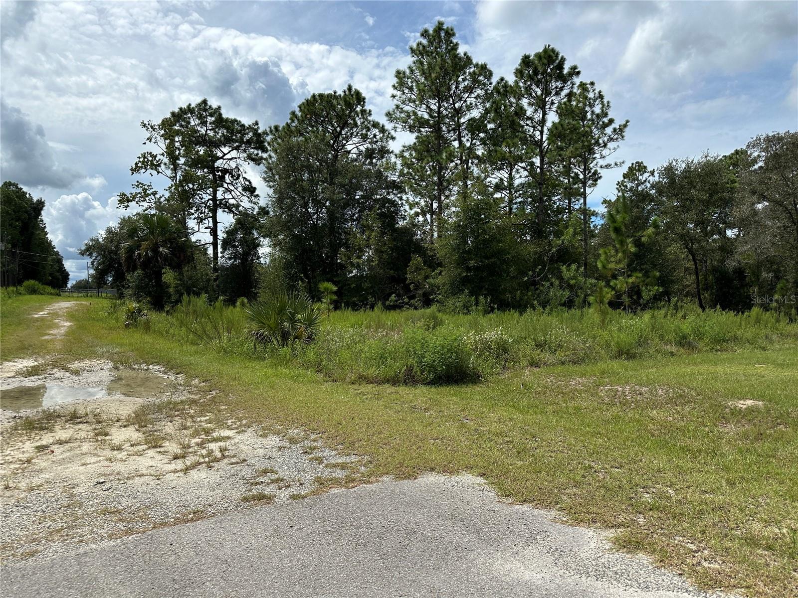 Details for Tbd 130th Court, DUNNELLON, FL 34431