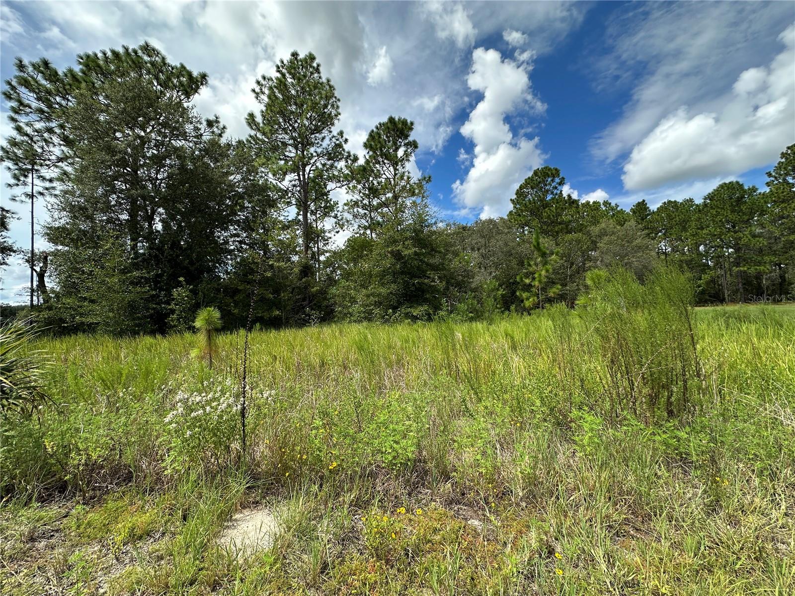 Image 3 of 7 For Tbd 130th Court